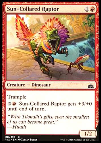 Sun-Collared Raptor (Sonnenkamm-Raptor)